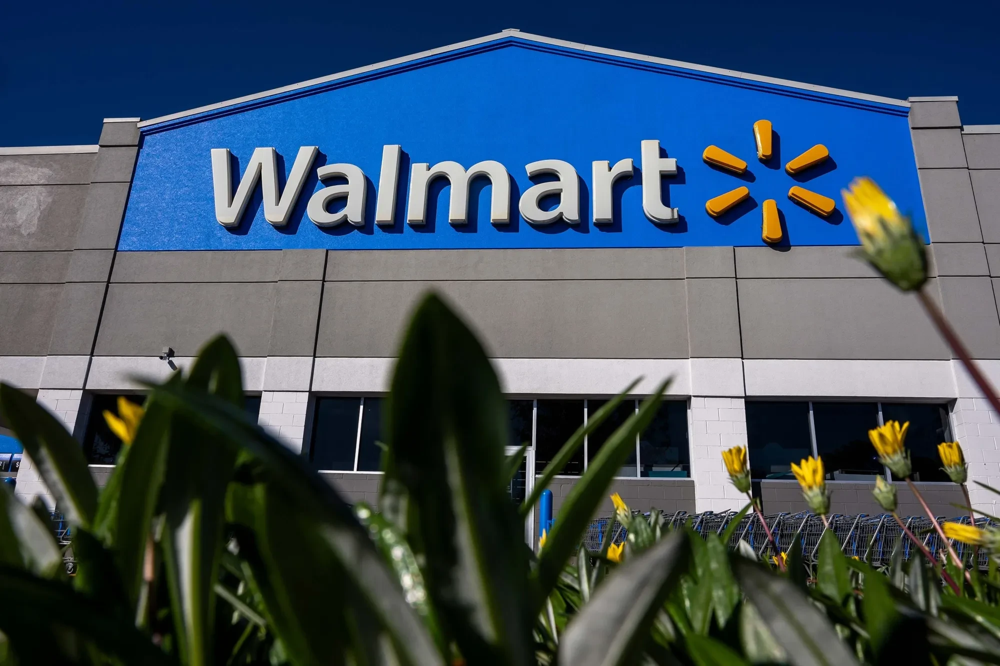 Từ “đế chế bán lẻ” đến hình mẫu ESG: Walmart đã thay đổi tư duy kinh doanh như thế nào?